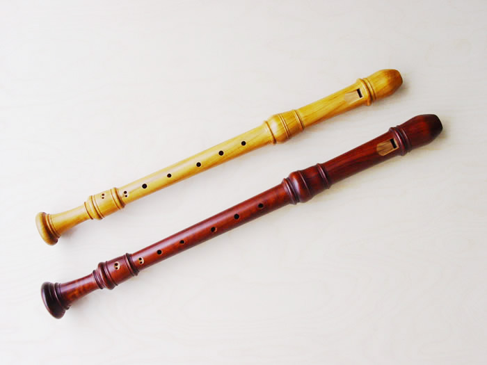 Voice flute recorder cheap
